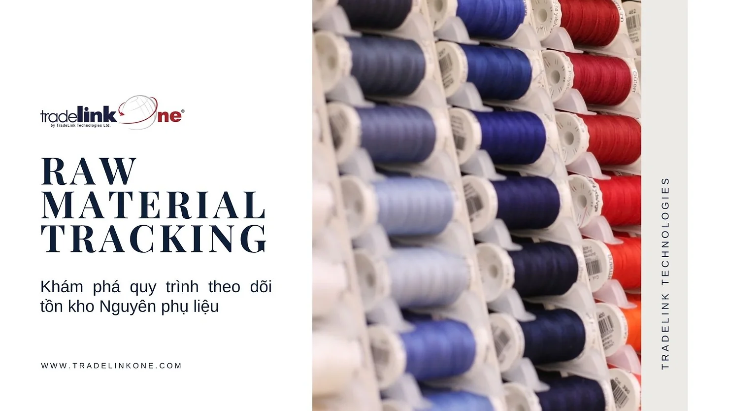 1d168d 7c7f8741b84f4309958bd70aec40938amv2.jpg.webp