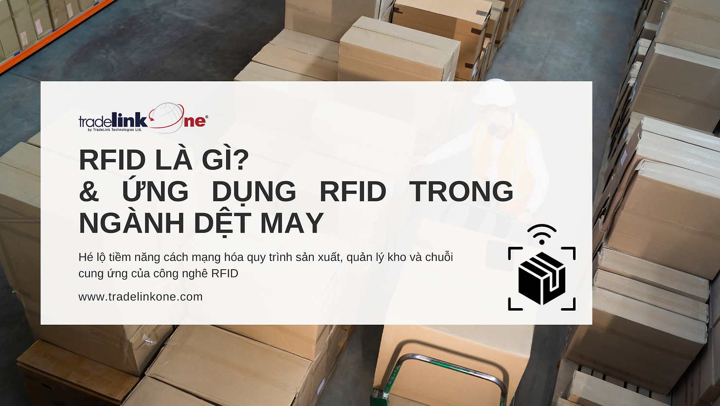1d168d f052912974604848ae11f5900f28a156mv2.png.webp